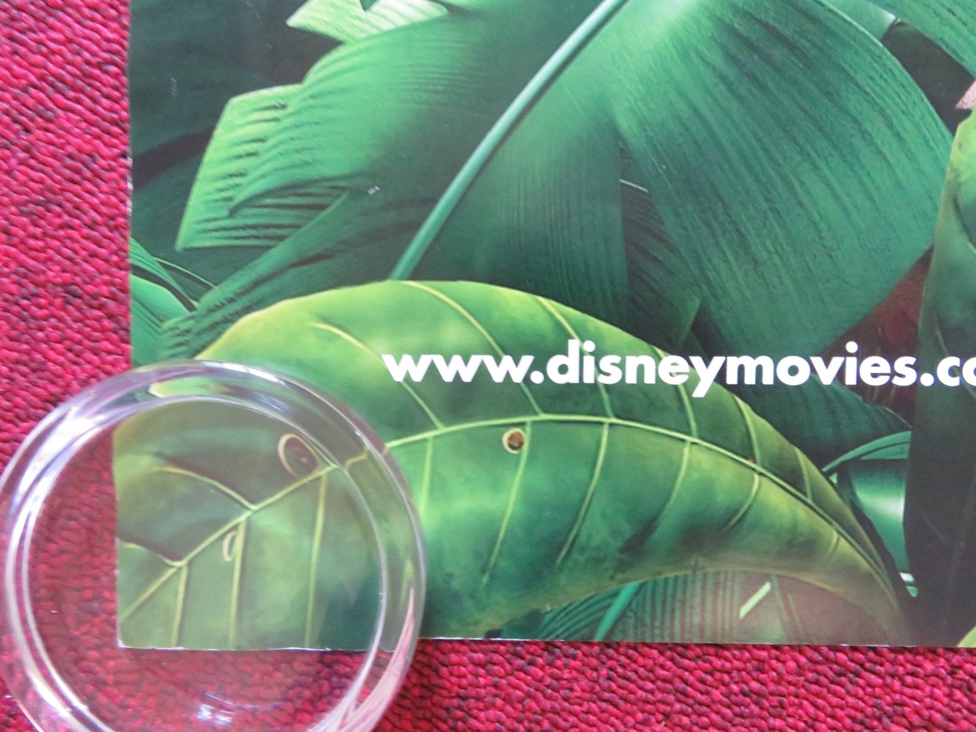 UP UK QUAD ROLLED POSTER DISNEY CHRISTOPHER PLUMMER EDWARD ASNER 2009 Rendezvous Cinema Movie posters