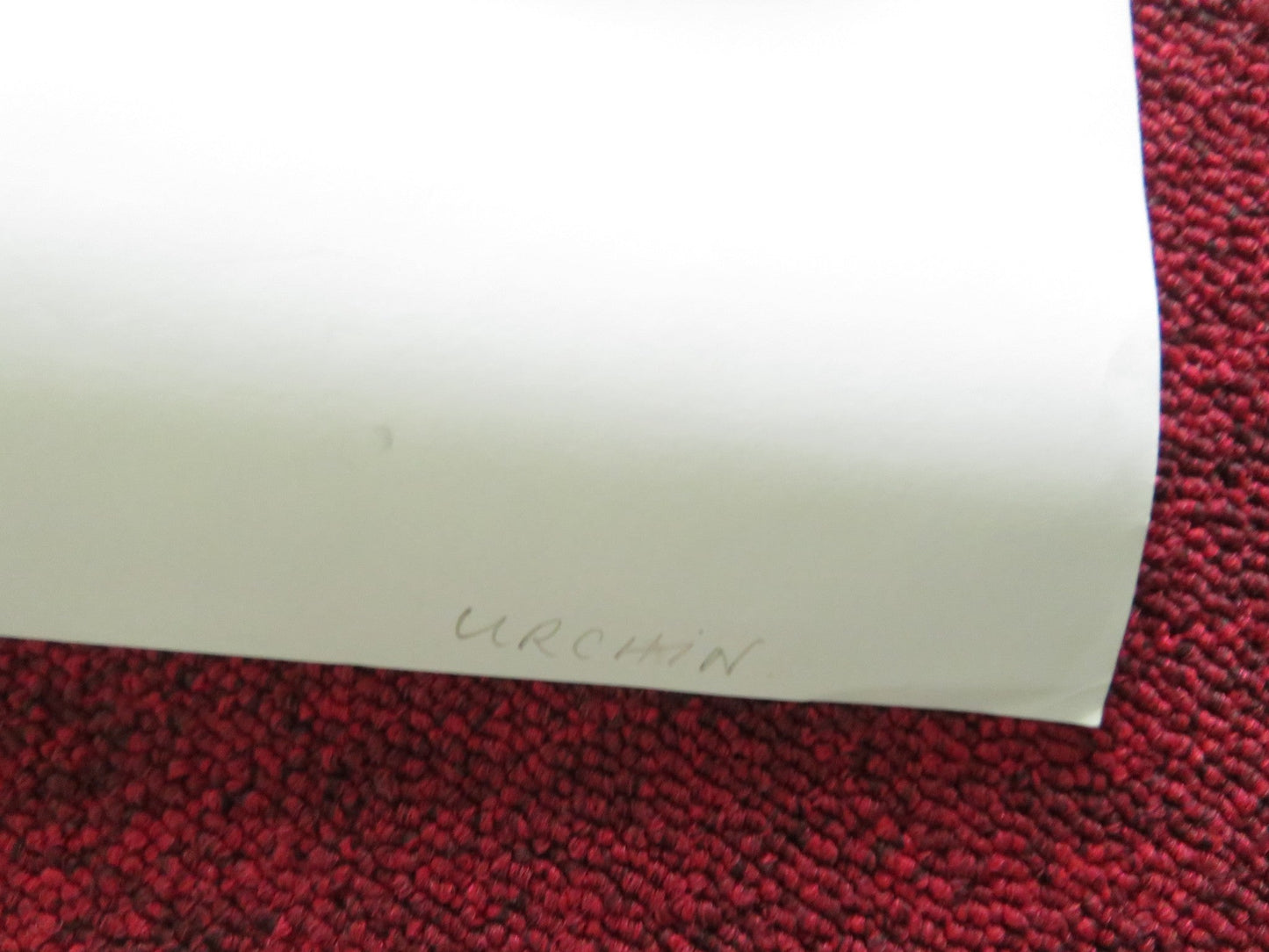 URCHIN UK QUAD ROLLED POSTER FRANK DILLANE MEGAN NORTHAM 2025 Movie posters