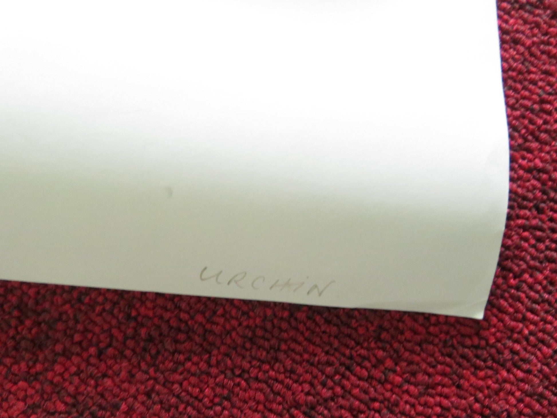 URCHIN UK QUAD ROLLED POSTER FRANK DILLANE MEGAN NORTHAM 2025 Movie posters