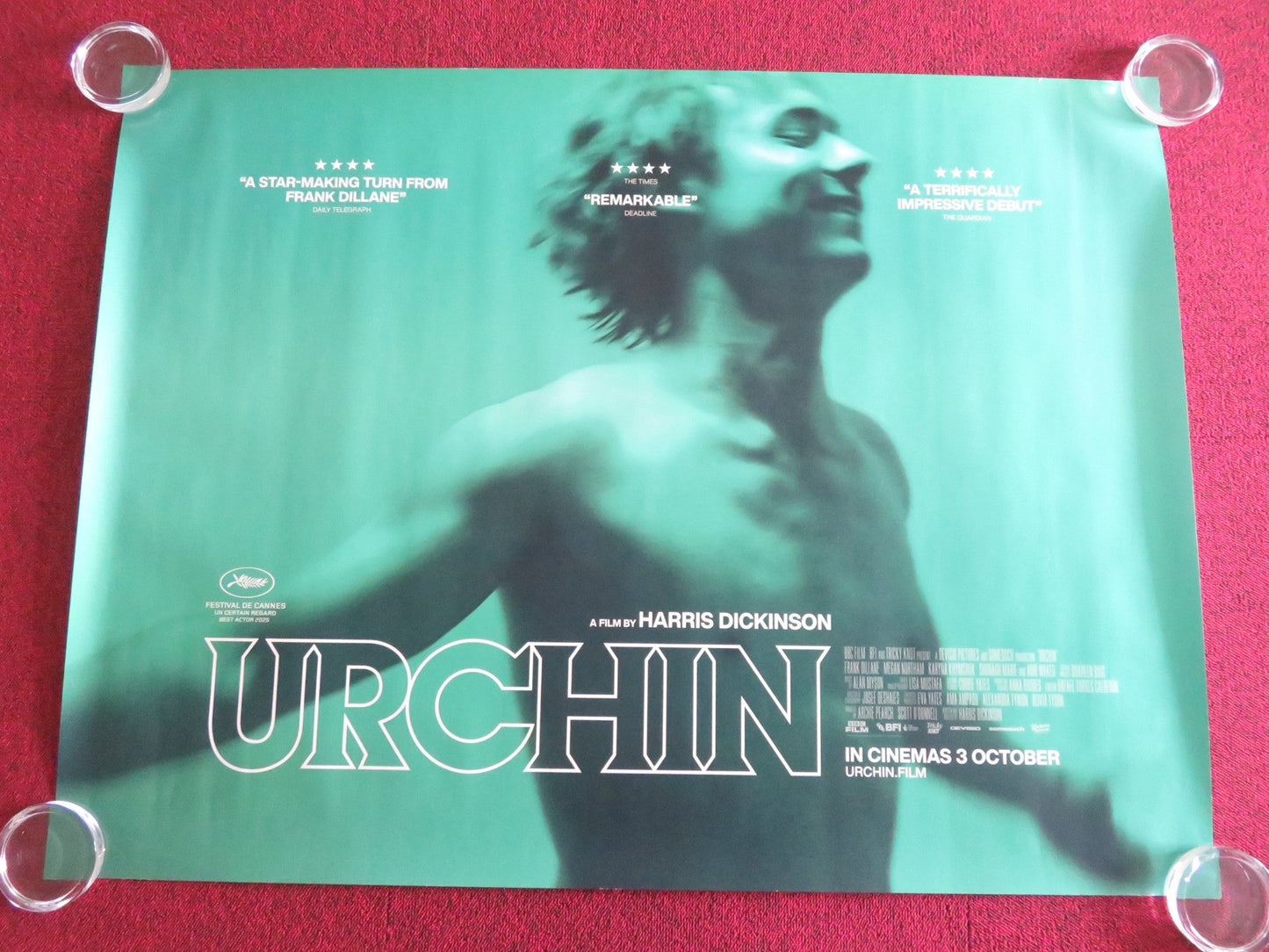 URCHIN UK QUAD ROLLED POSTER FRANK DILLANE MEGAN NORTHAM 2025 Movie posters
