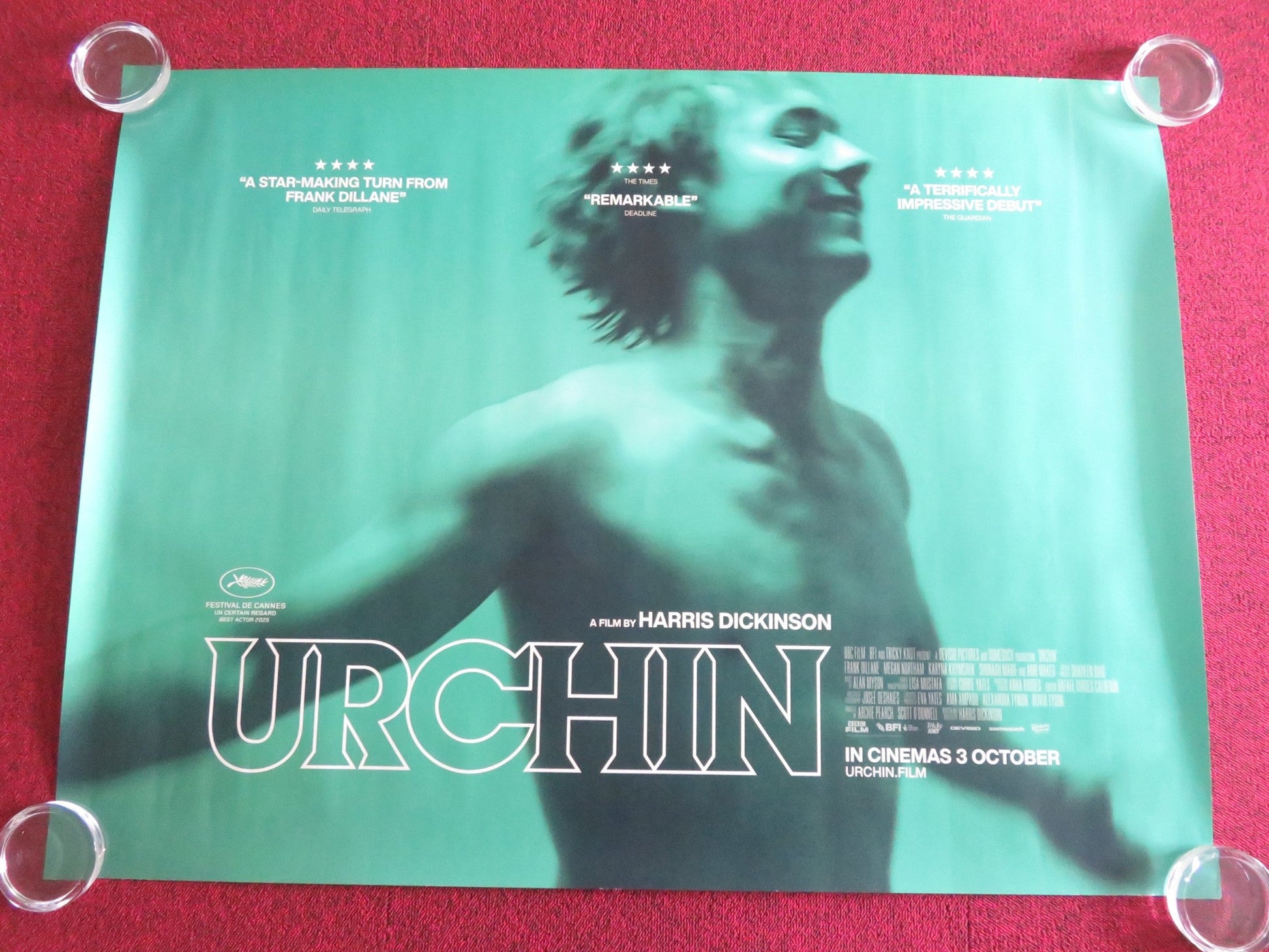 URCHIN UK QUAD ROLLED POSTER FRANK DILLANE MEGAN NORTHAM 2025 Movie posters