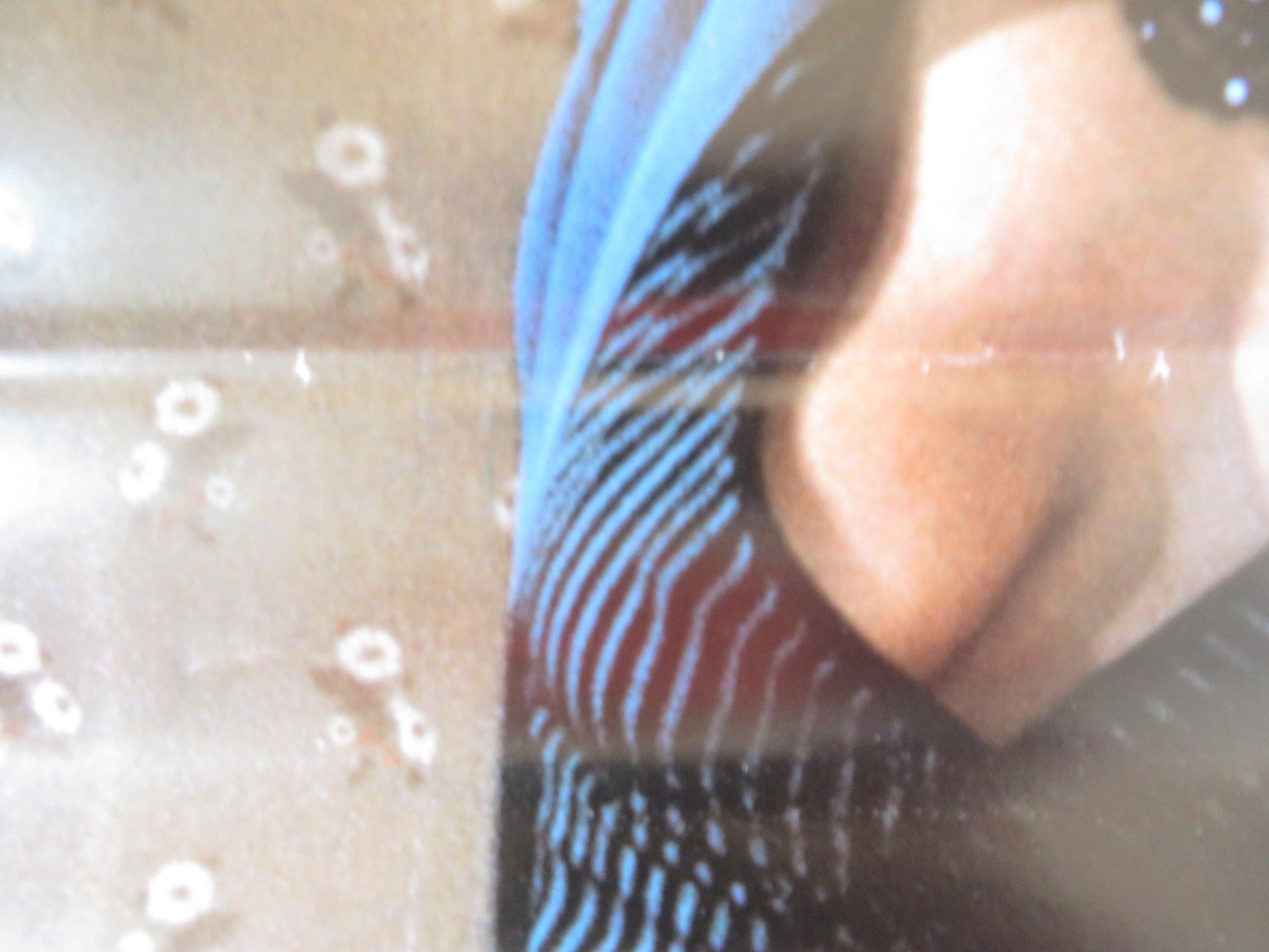 VANESSA MAID IN MANHATTAN ITALIAN LOCANDINA POSTER BROOKE FIELDS J. BUTLER 1986 Rendezvous Cinema Movie posters