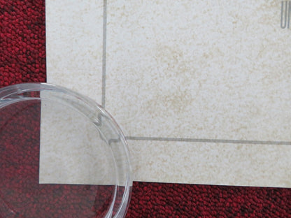 VENGEANCE UK QUAD ROLLED POSTER B. J. NOVAK ASHTON KUTCHER 2022 Movie posters