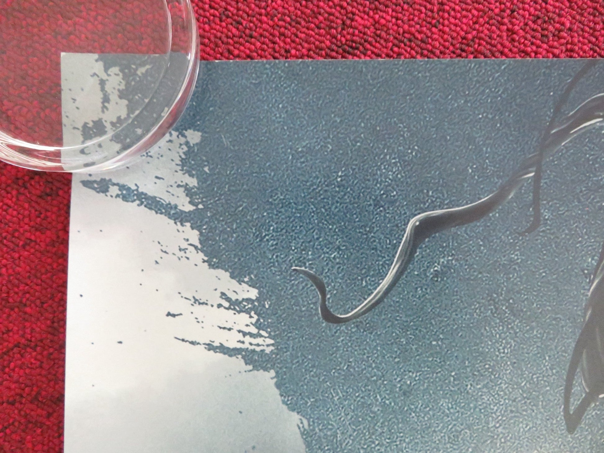 VENOM - B UK QUAD ROLLED POSTER TOM HARDY MICHELLE WILLIAMS 2018 Movie posters