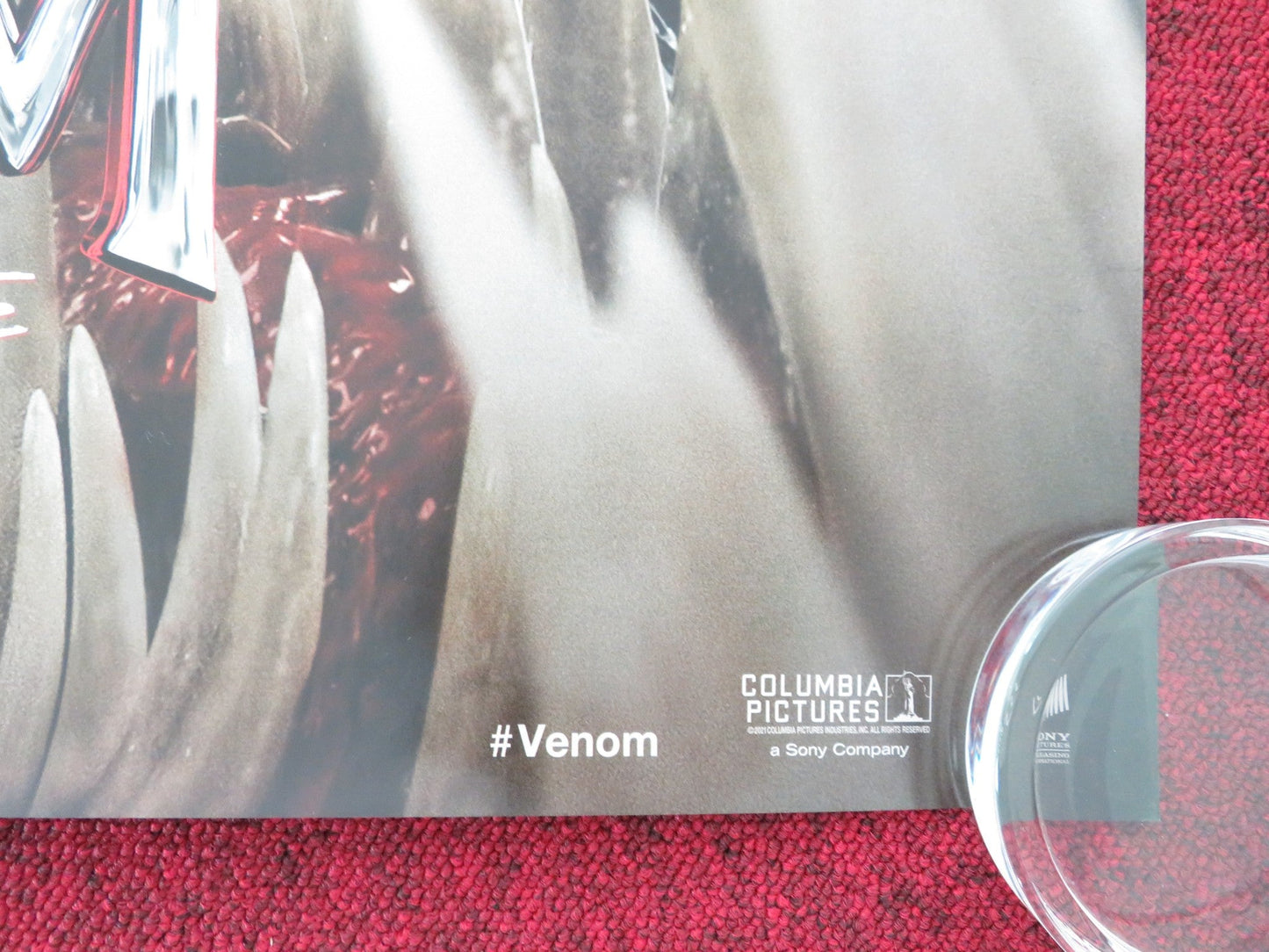 VENOM: LET THERE BE CARNAGE US ONE SHEET ROLLED POSTER TOM HARDY HARRELSON 2021 Movie posters