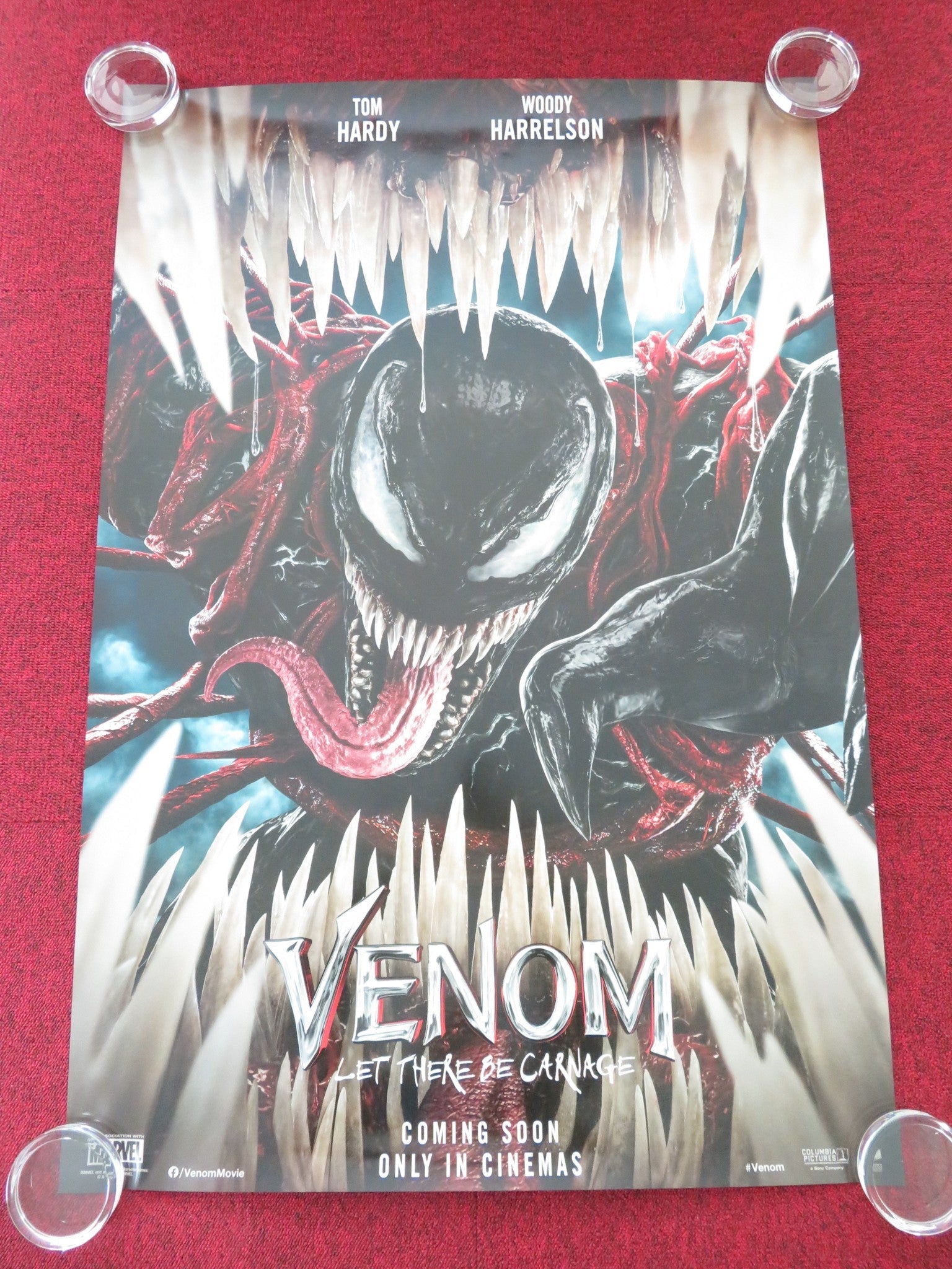 VENOM: LET THERE BE CARNAGE US ONE SHEET ROLLED POSTER TOM HARDY HARRELSON 2021 Movie posters