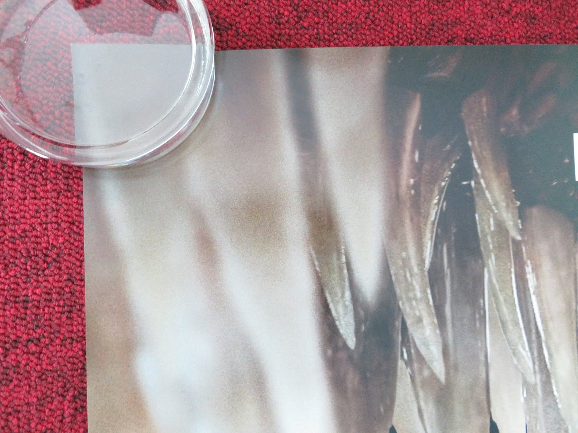 VENOM: LET THERE BE CARNAGE US ONE SHEET ROLLED POSTER TOM HARDY HARRELSON 2021 Movie posters
