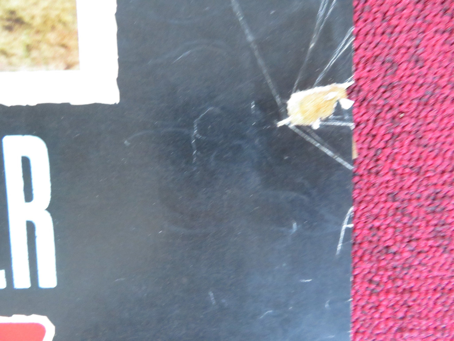 VERA CRUZ - A ITALIAN FOTOBUSTA POSTER GARY COOPER BURT LANCASTER R1970s Rendezvous Cinema Movie posters