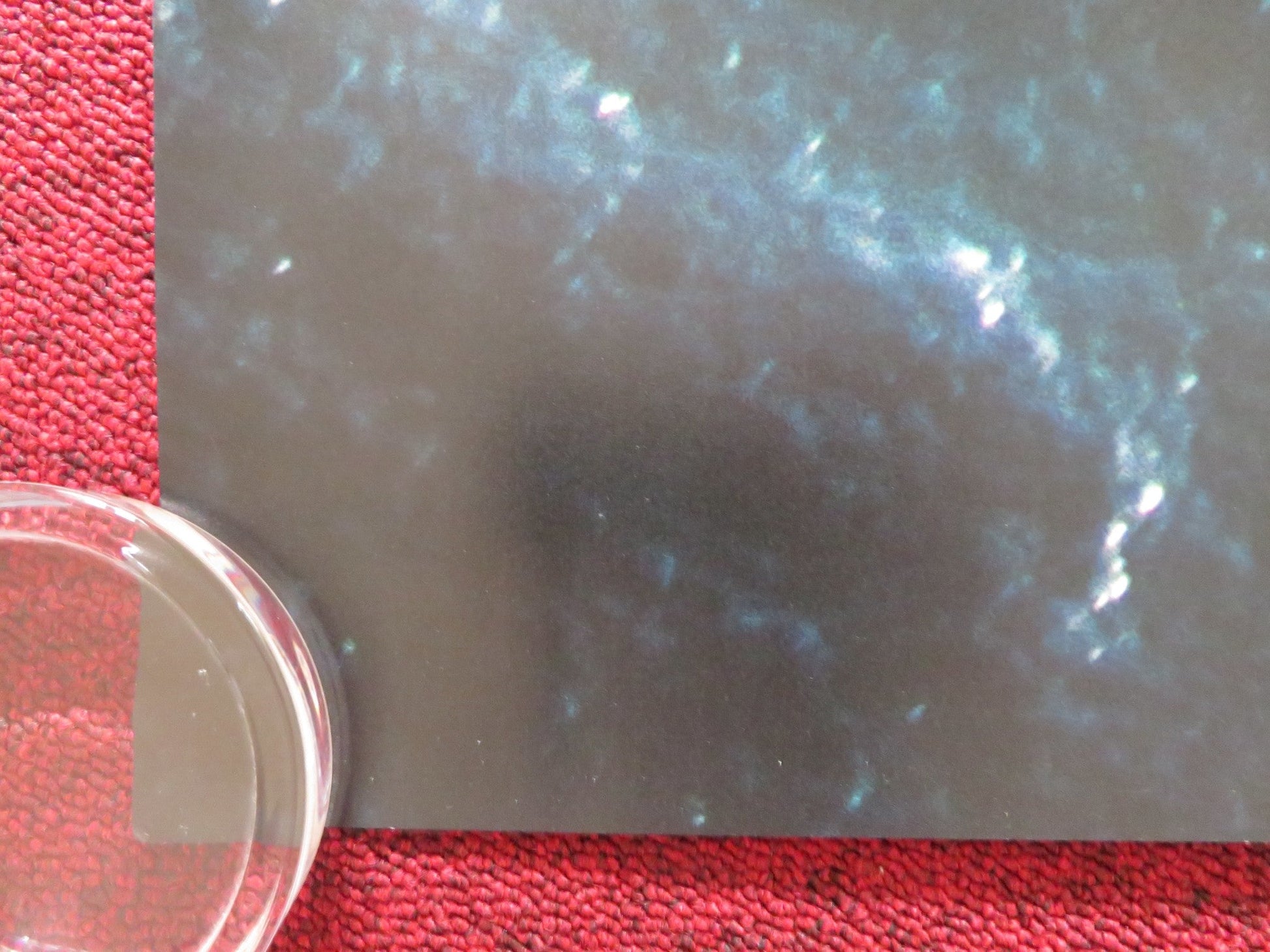 VINDICATION SWIM - B UK QUAD ROLLED POSTER KIRSTEN CALLAGHAN JOHN LOCKE 2024 Rendezvous Cinema Movie posters