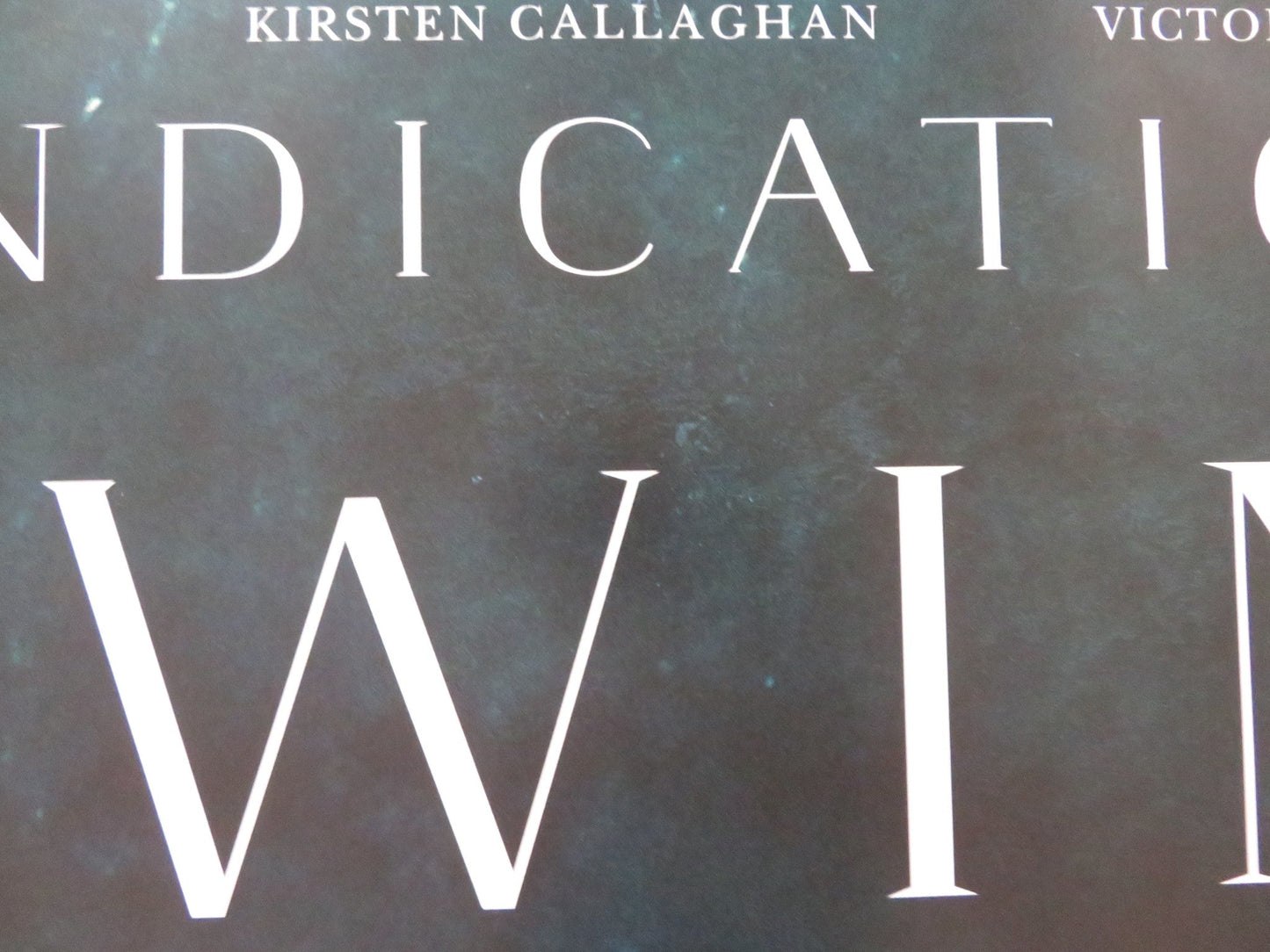 VINDICATION SWIM - B UK QUAD ROLLED POSTER KIRSTEN CALLAGHAN JOHN LOCKE 2024 Rendezvous Cinema Movie posters