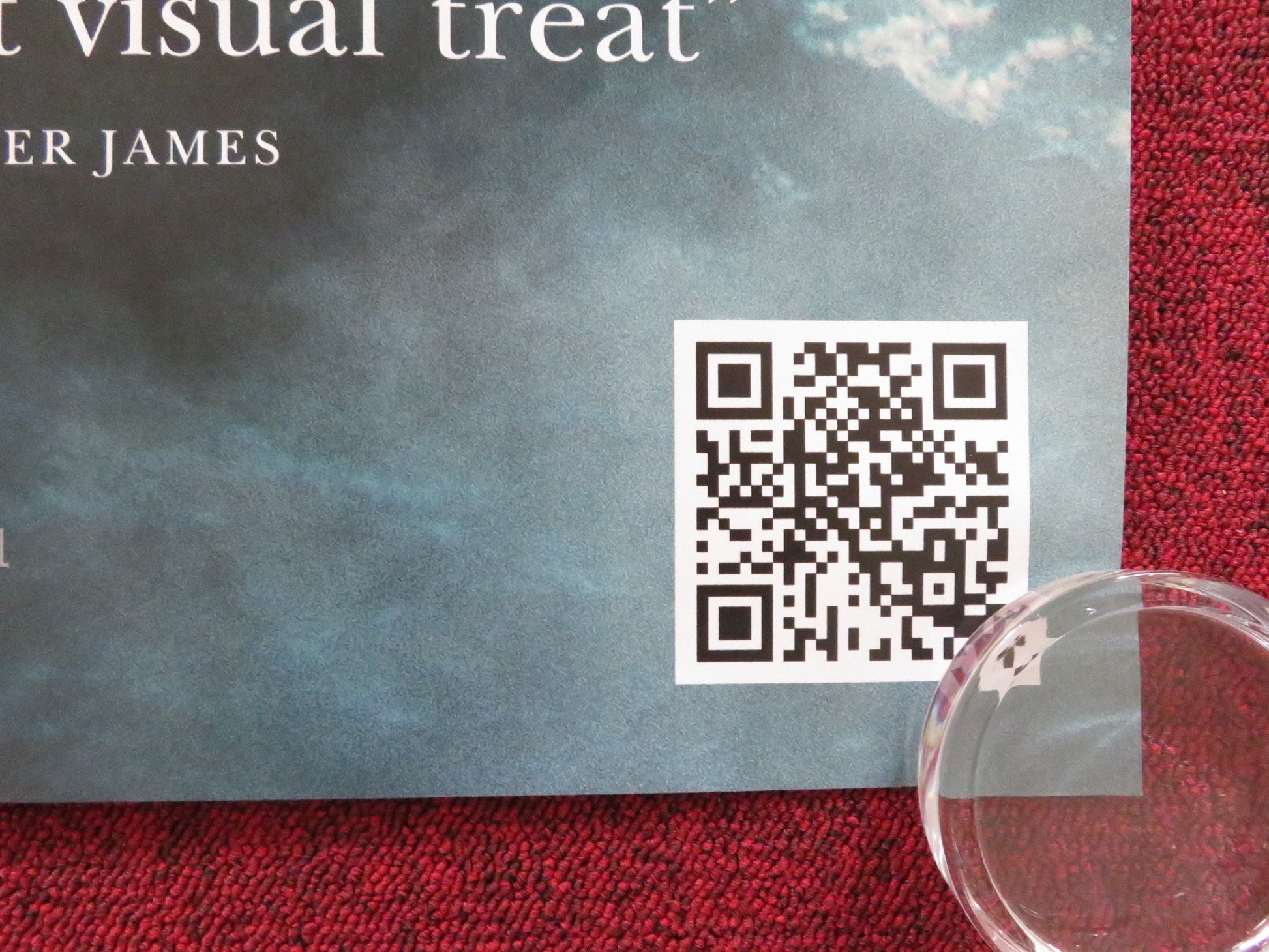 VINDICATION SWIM - B UK QUAD ROLLED POSTER KIRSTEN CALLAGHAN JOHN LOCKE 2024 Rendezvous Cinema Movie posters