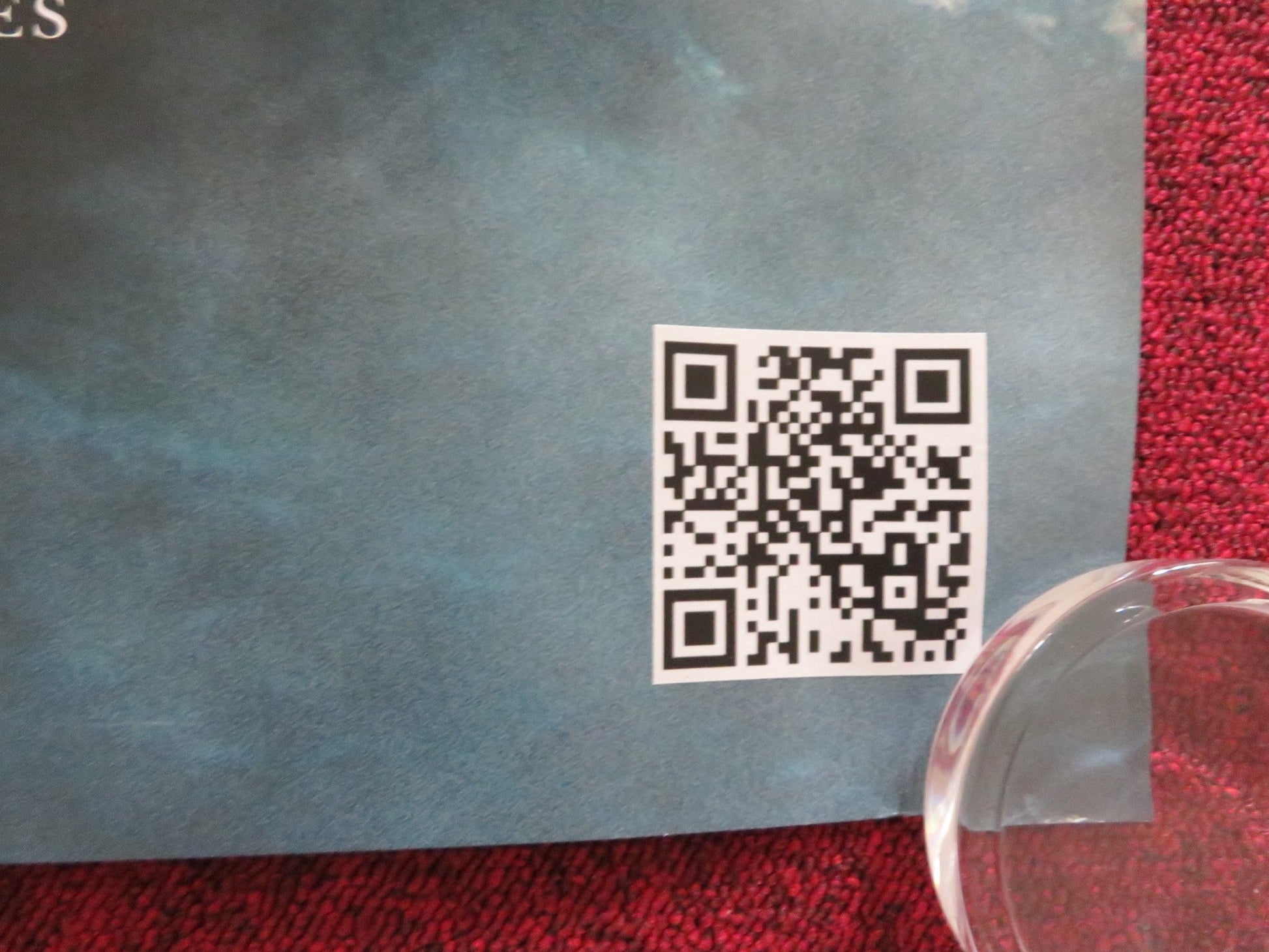 VINDICATION SWIM UK QUAD ROLLED POSTER KIRSTEN CALLAGHAN JOHN LOCKE 2024 Rendezvous Cinema Movie posters