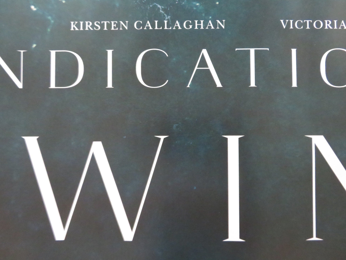 VINDICATION SWIM UK QUAD ROLLED POSTER KIRSTEN CALLAGHAN JOHN LOCKE 2024 Rendezvous Cinema Movie posters