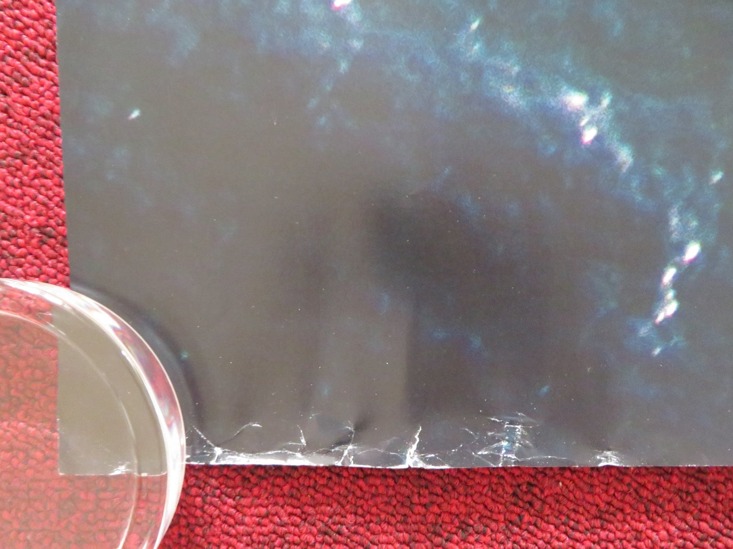 VINDICATION SWIM UK QUAD ROLLED POSTER KIRSTEN CALLAGHAN JOHN LOCKE 2024 Rendezvous Cinema Movie posters