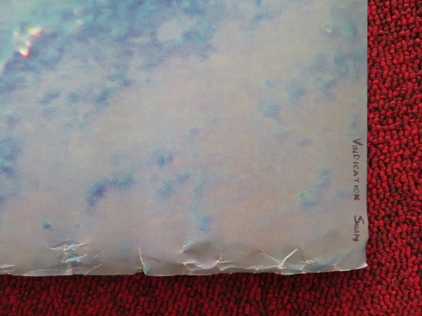 VINDICATION SWIM UK QUAD ROLLED POSTER KIRSTEN CALLAGHAN JOHN LOCKE 2024 Rendezvous Cinema Movie posters