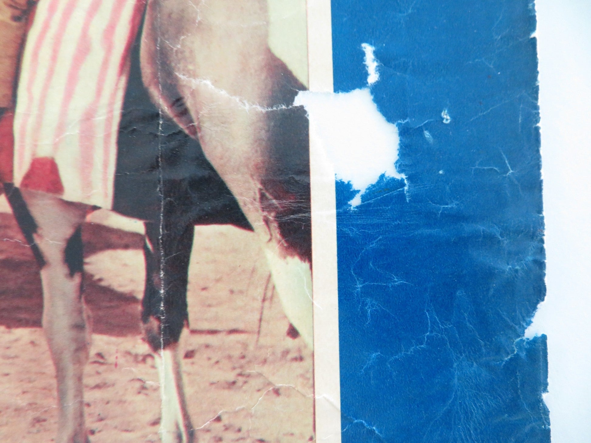 WAGONS WEST ITALIAN FOTOBUSTA POSTER ROD CAMERON NOAH BEERY R1963 Movie posters