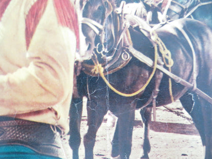 WAGONS WEST ITALIAN FOTOBUSTA POSTER ROD CAMERON NOAH BEERY R1963 Movie posters