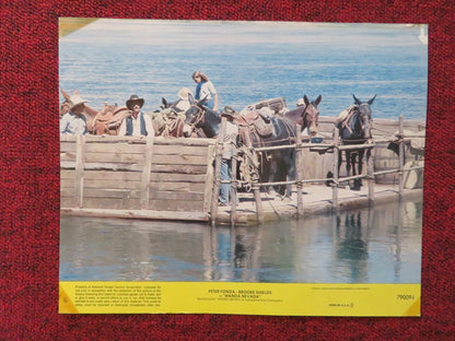 WANDA NEVADA - 6 LOBBY CARD PETER FONDA BROOKE SHIELDS 1979 Rendezvous Cinema Movie posters