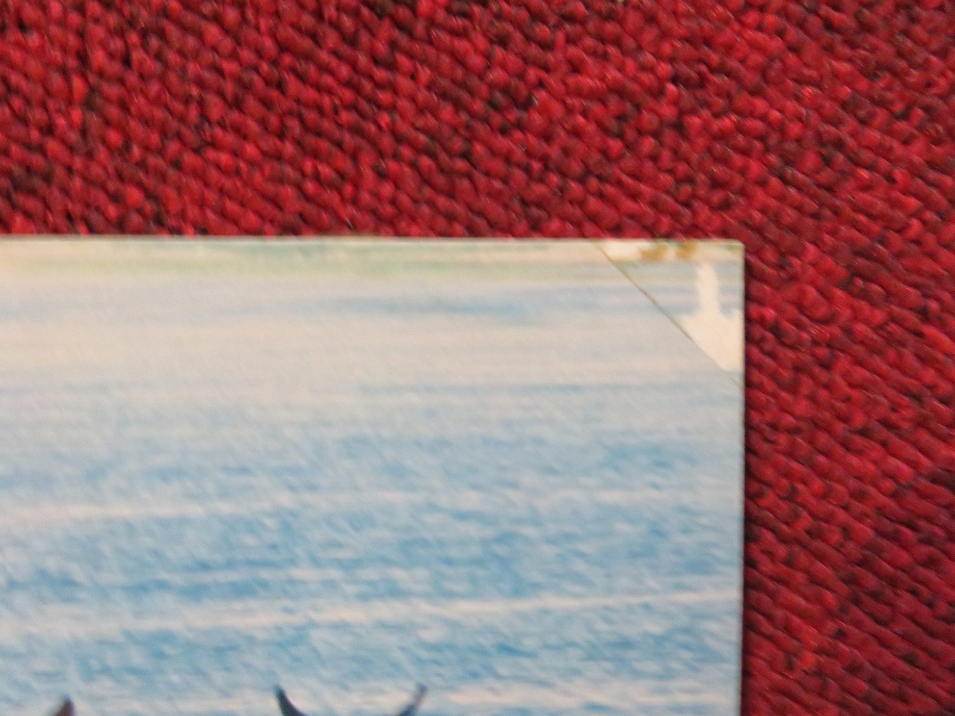 WANDA NEVADA - 6 LOBBY CARD PETER FONDA BROOKE SHIELDS 1979 Rendezvous Cinema Movie posters