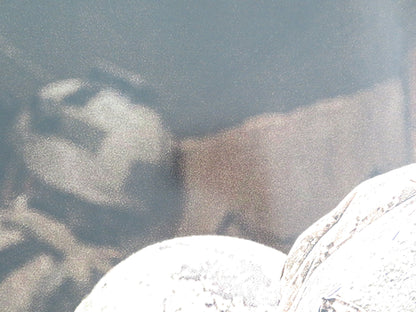 WARFARE UK QUAD ROLLED POSTER JOSEPH QUINN WILL POULTER 2025 Movie posters