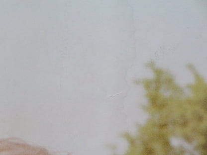 WE BOUGHT A ZOO UK QUAD ROLLED POSTER MATT DAMON SCARLETT JOHANSSON 2011 Movie posters