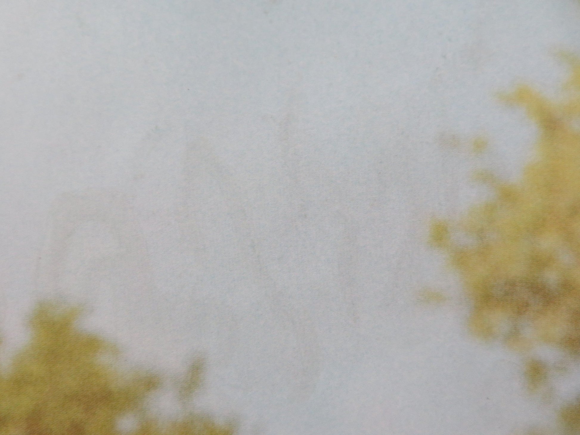 WE BOUGHT A ZOO UK QUAD ROLLED POSTER MATT DAMON SCARLETT JOHANSSON 2011 Movie posters