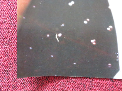 WEIRD SCIENCE - A ITALIAN FOTOBUSTA POSTER KELLY LEBROCK A. MICHAEL HALL 1985 Rendezvous Cinema Movie posters