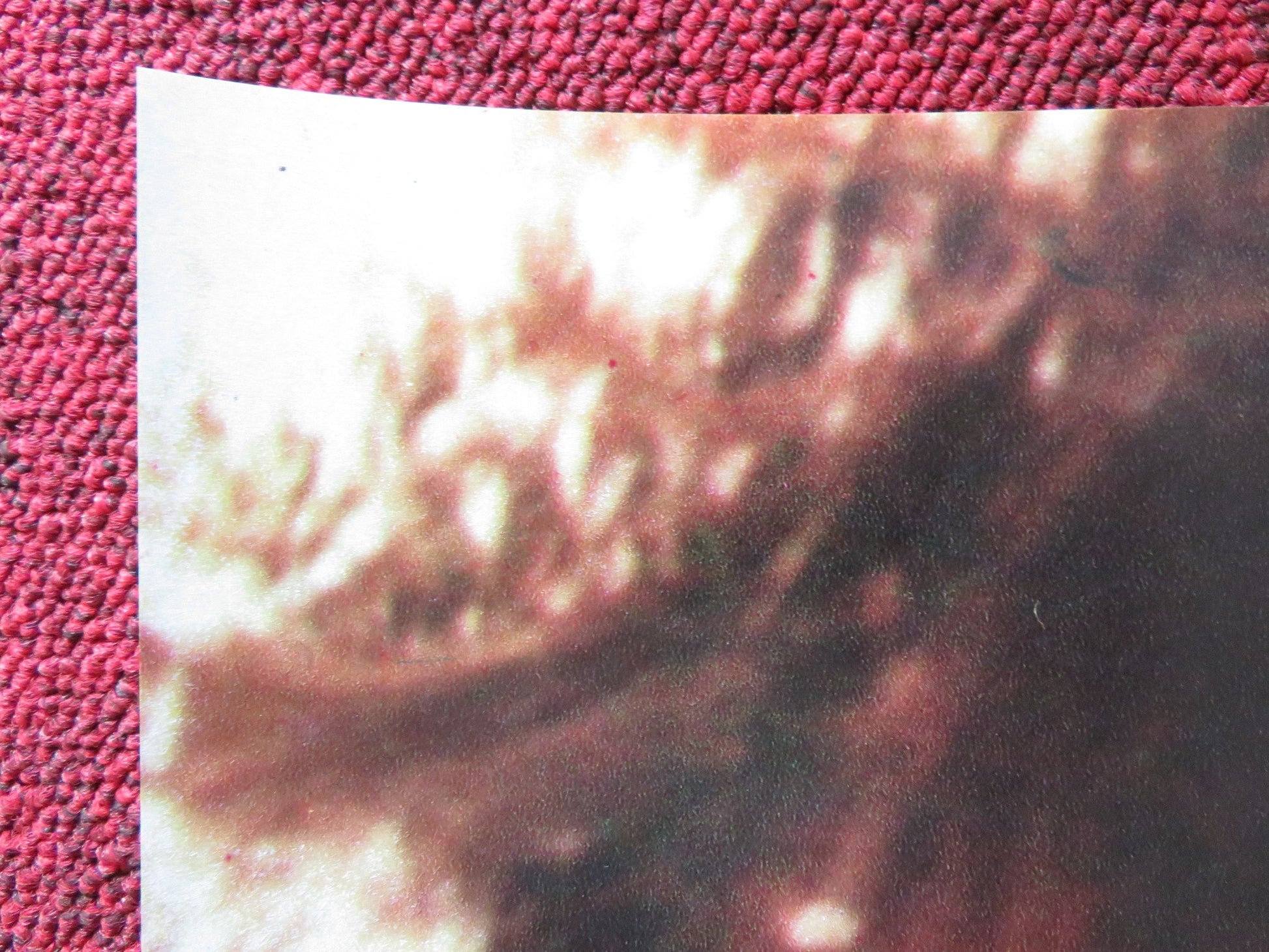 WEIRD SCIENCE - D ITALIAN FOTOBUSTA POSTER KELLY LEBROCK A. MICHAEL HALL 1985 Rendezvous Cinema Movie posters