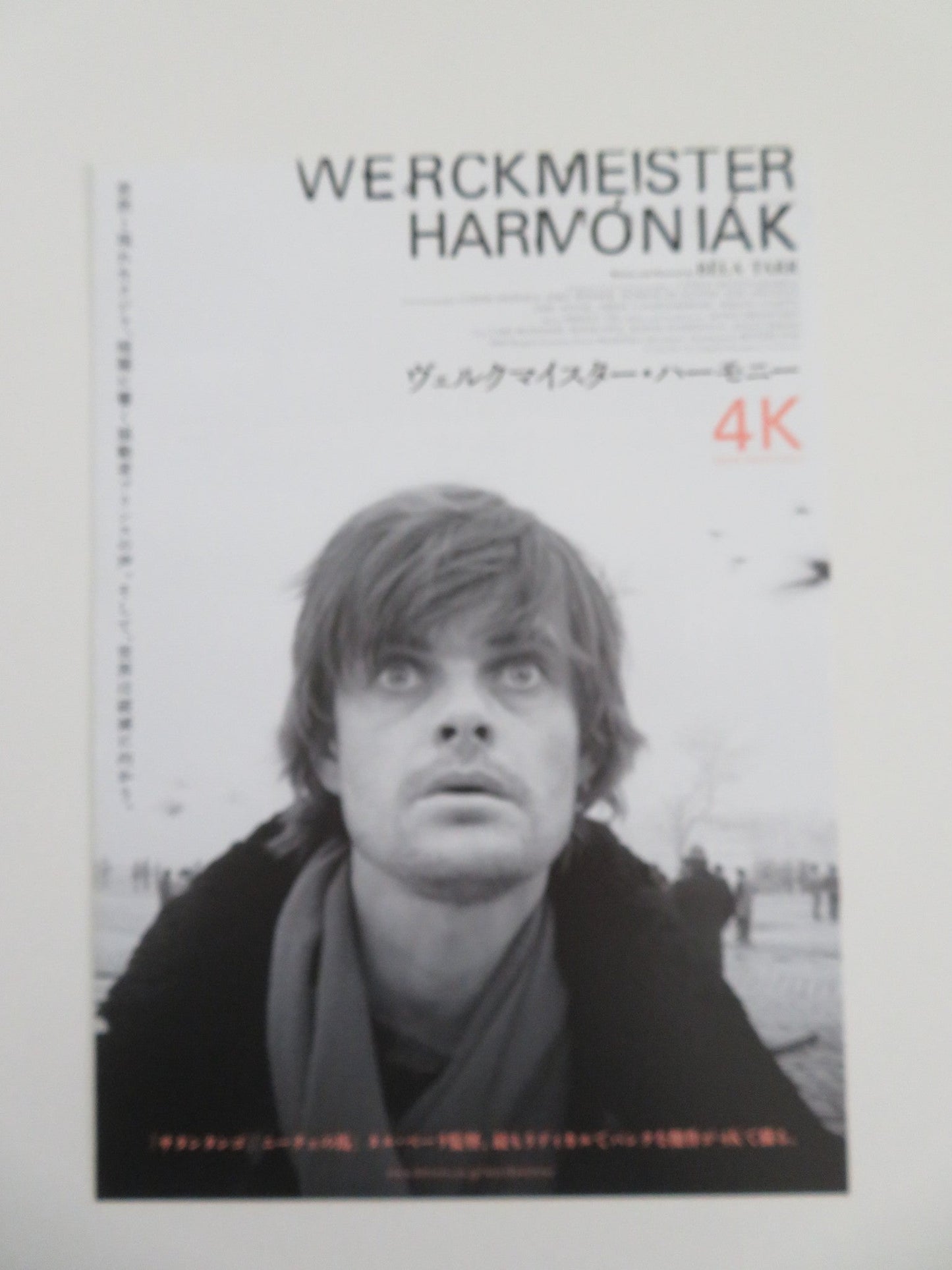 Werckmeister Harmonies 4k Japanese Chirashi (B5) Poster Rudolph Fitz R2022 Movie posters