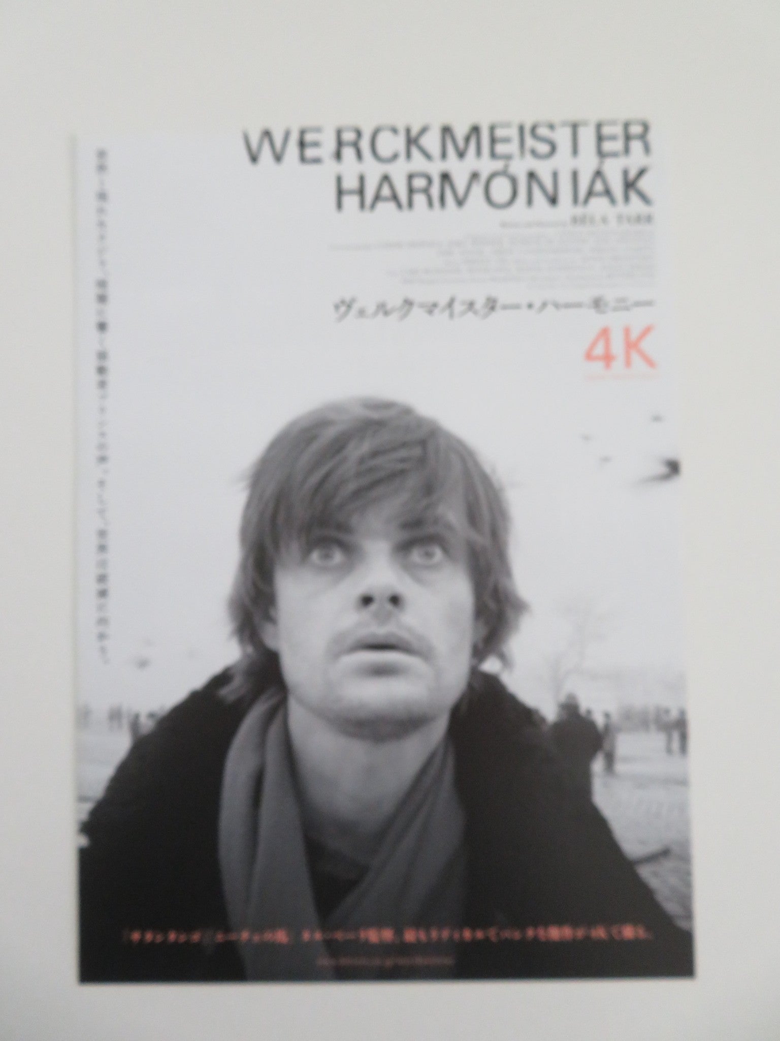 Werckmeister Harmonies 4k Japanese Chirashi (B5) Poster Rudolph Fitz R2022 Movie posters
