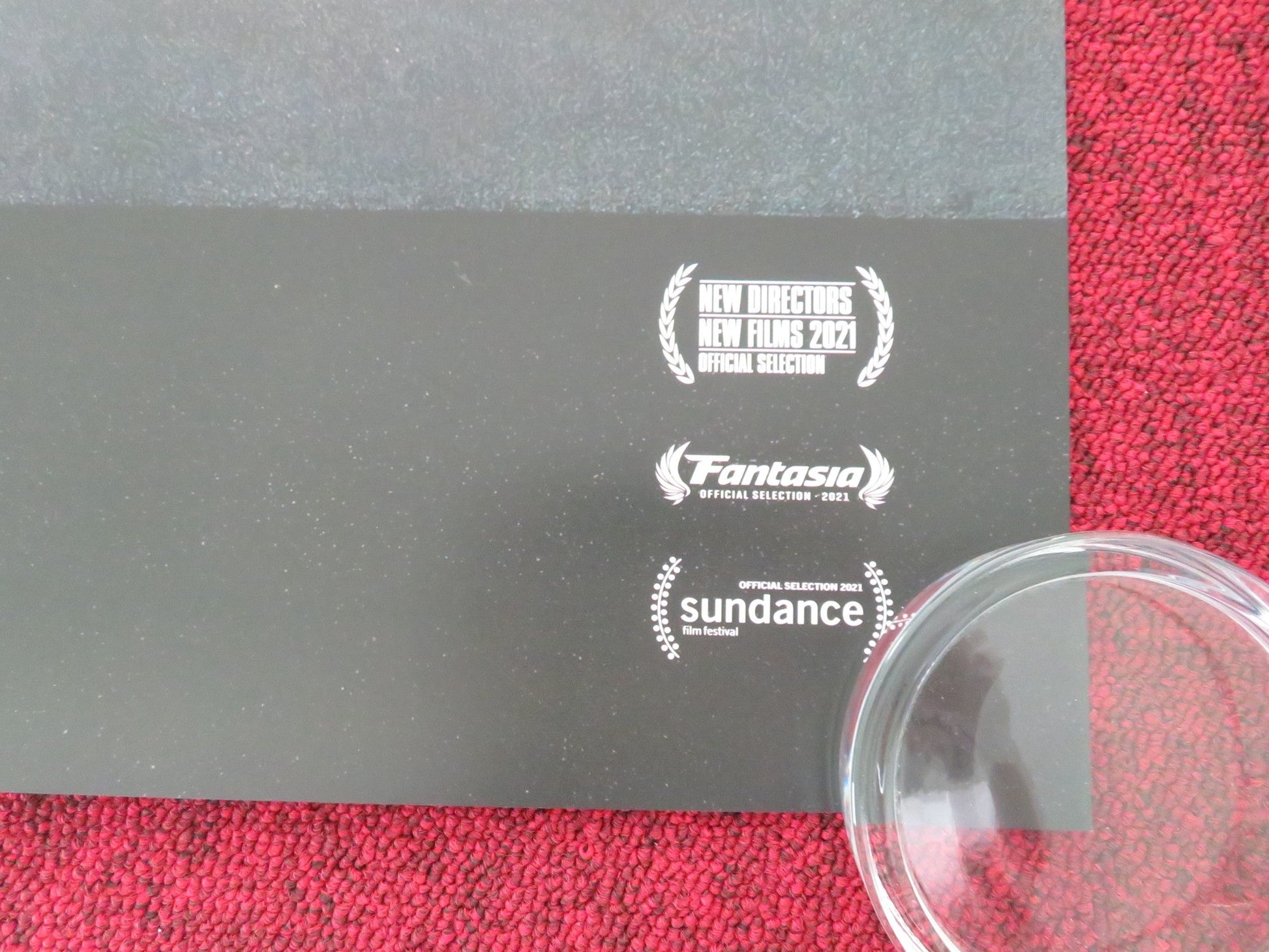 WE'RE ALL GOING TO THE WORLD'S FAIR US ONE SHEET ROLLED POSTER ANNA COBB 2021 Movie posters