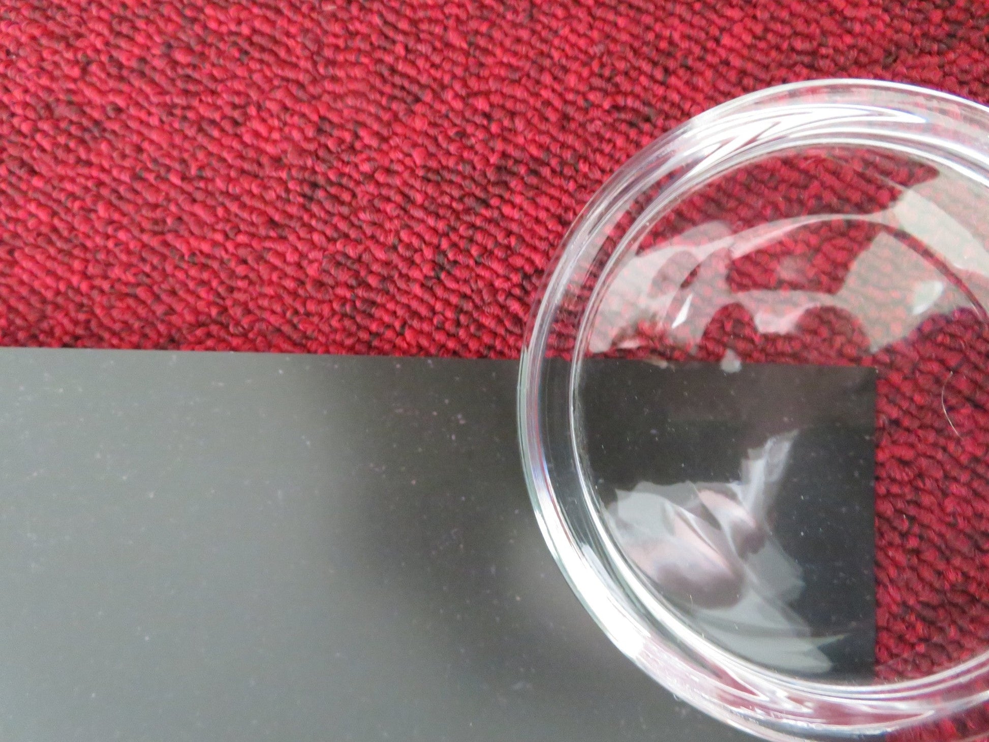 WE'RE ALL GOING TO THE WORLD'S FAIR US ONE SHEET ROLLED POSTER ANNA COBB 2021 Movie posters