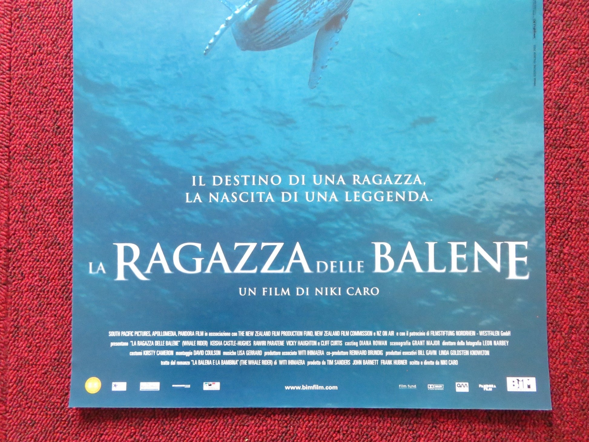 WHALE RIDER ITALIAN LOCANDINA POSTER KEISHA CASTLE - HUGHES RAWIRI PARATENE 2002 Rendezvous Cinema Movie posters