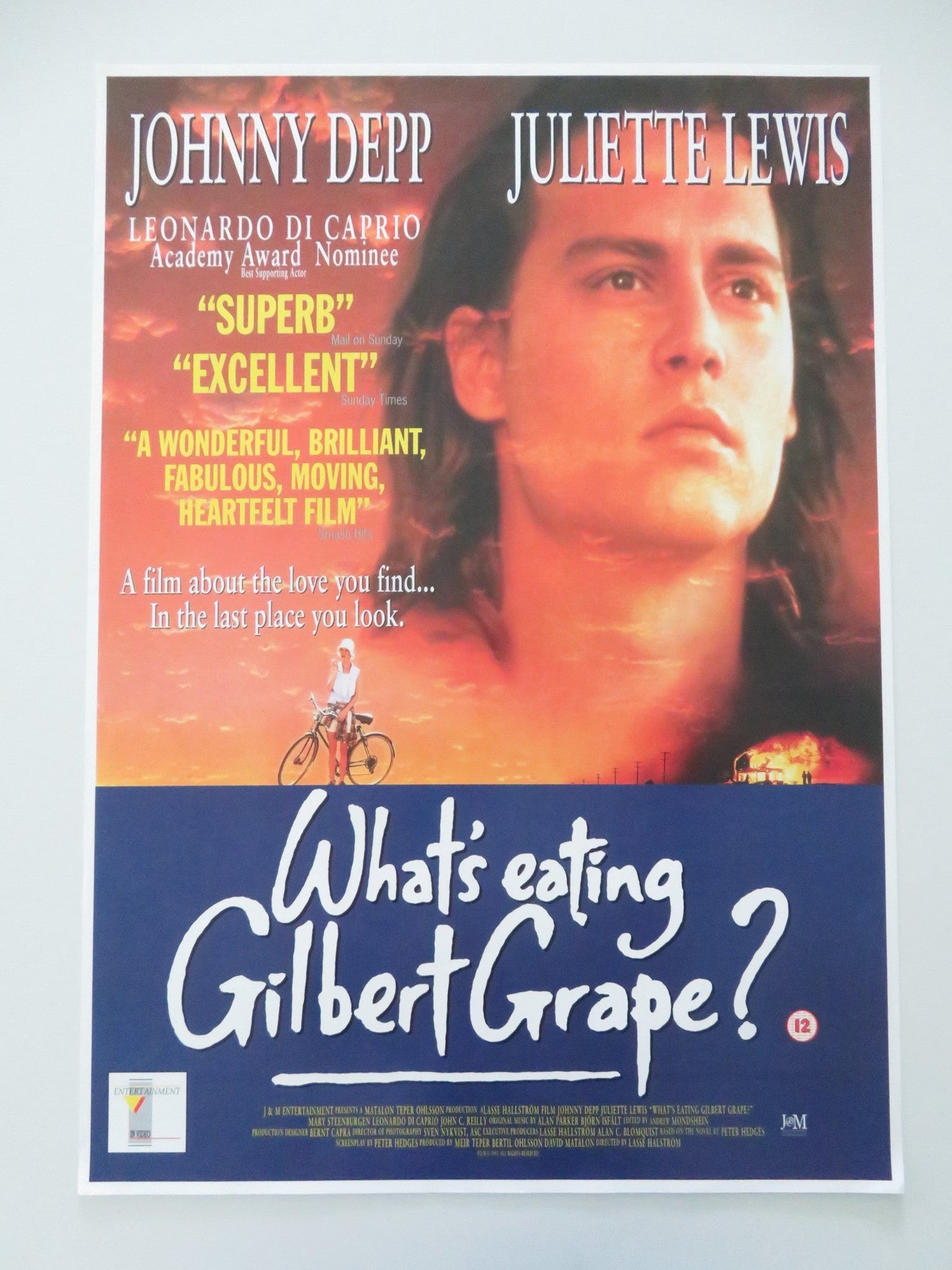 WHAT'S EATING GILBERT GRAPE VHS VIDEO POSTER ROLLED JOHNNY DEPP J. LEWIS 1993 Movie posters