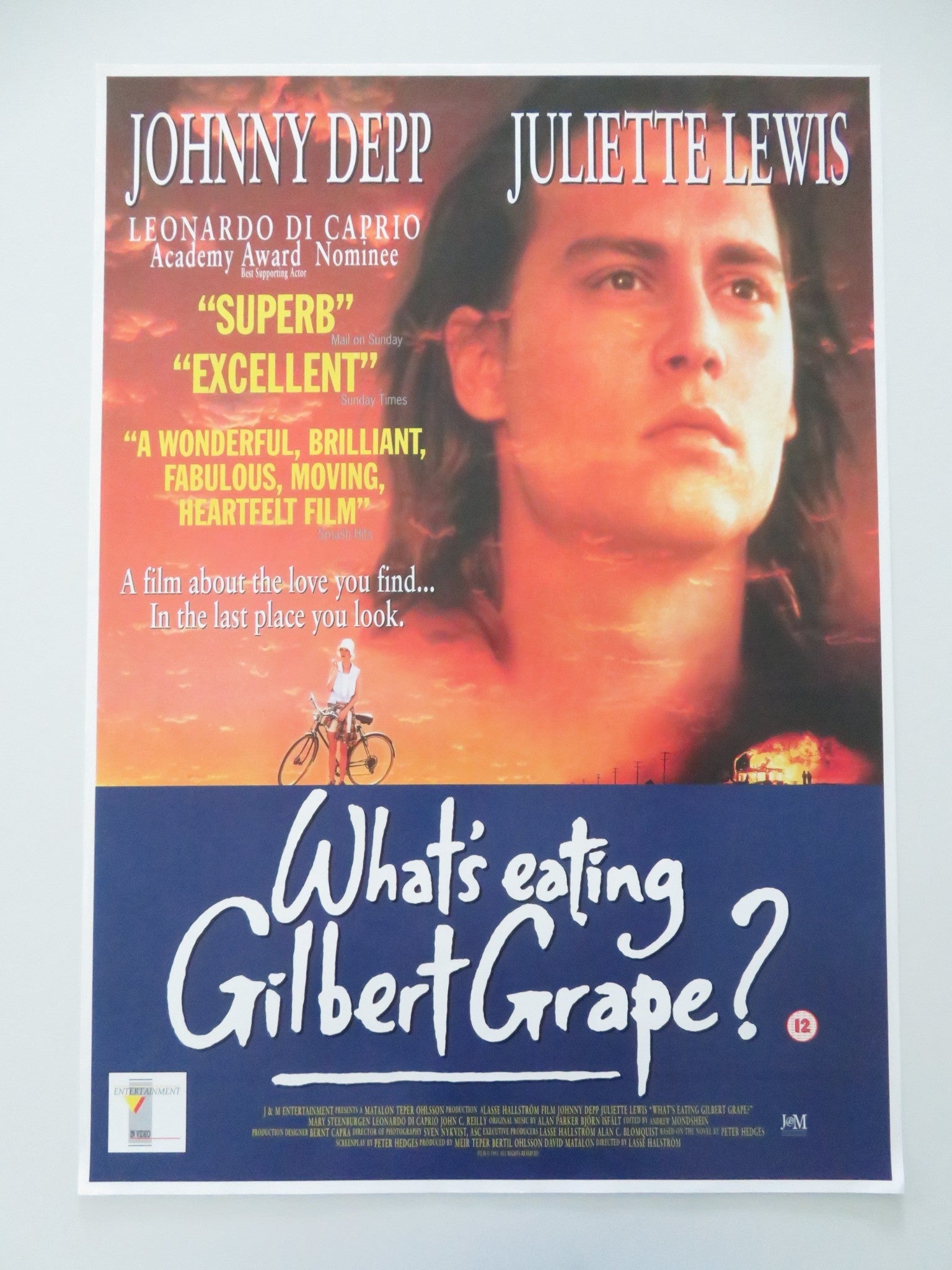 WHAT'S EATING GILBERT GRAPE VHS VIDEO POSTER ROLLED JOHNNY DEPP J. LEWIS 1993 Movie posters