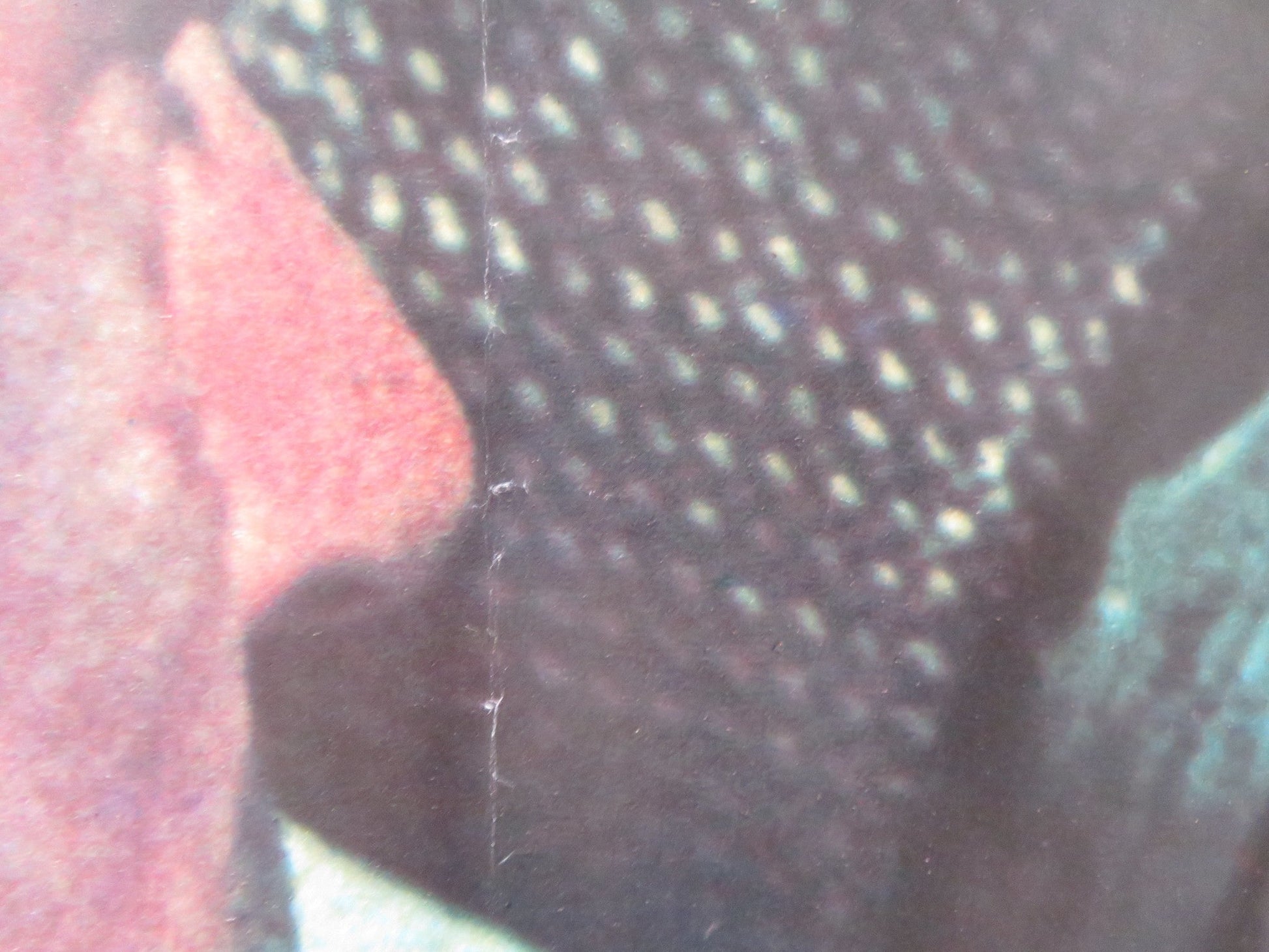 WHEN A STRANGER CALLS - E ITALIAN FOTOBUSTA POSTER CAROL KANE RUTANYA ALDA 1979 Rendezvous Cinema Movie posters