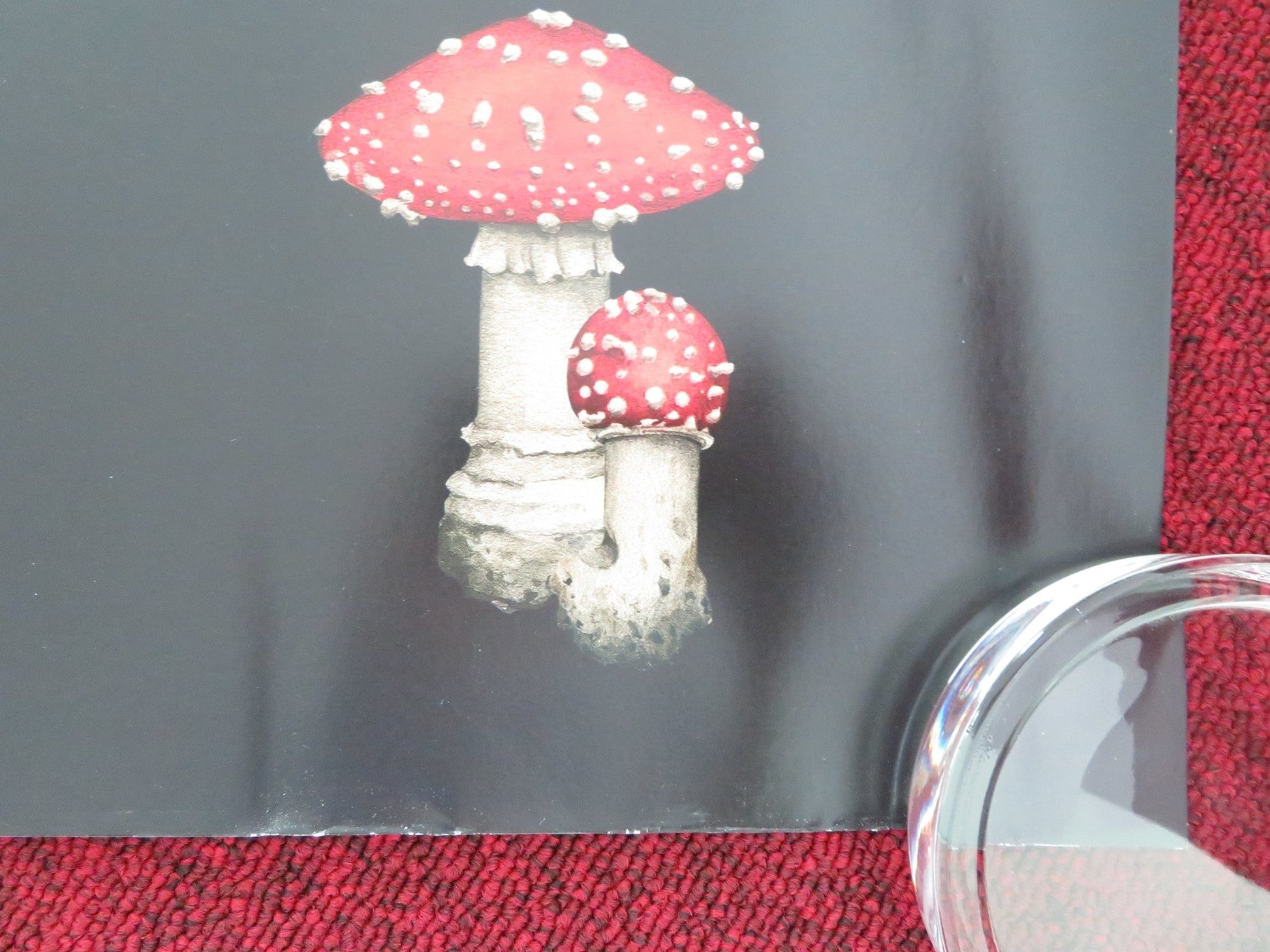 WHEN AUTUMN FALLS UK QUAD ROLLED POSTER HELEN VINCENT PIERRE LOTTIN 2024 Movie posters