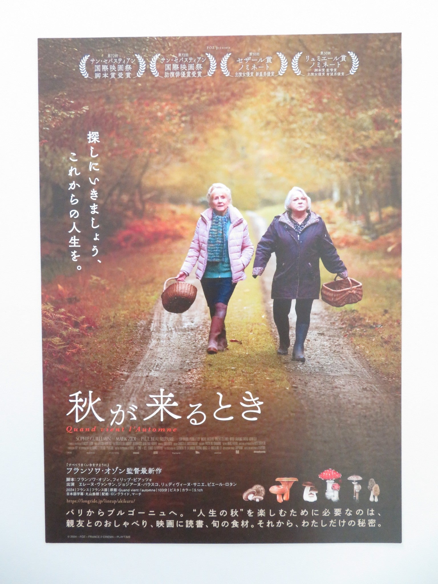 WHEN FALL IS COMING JAPANESE CHIRASHI (B5) POSTER HELENE VINCENT BALASKO 2024 Movie posters