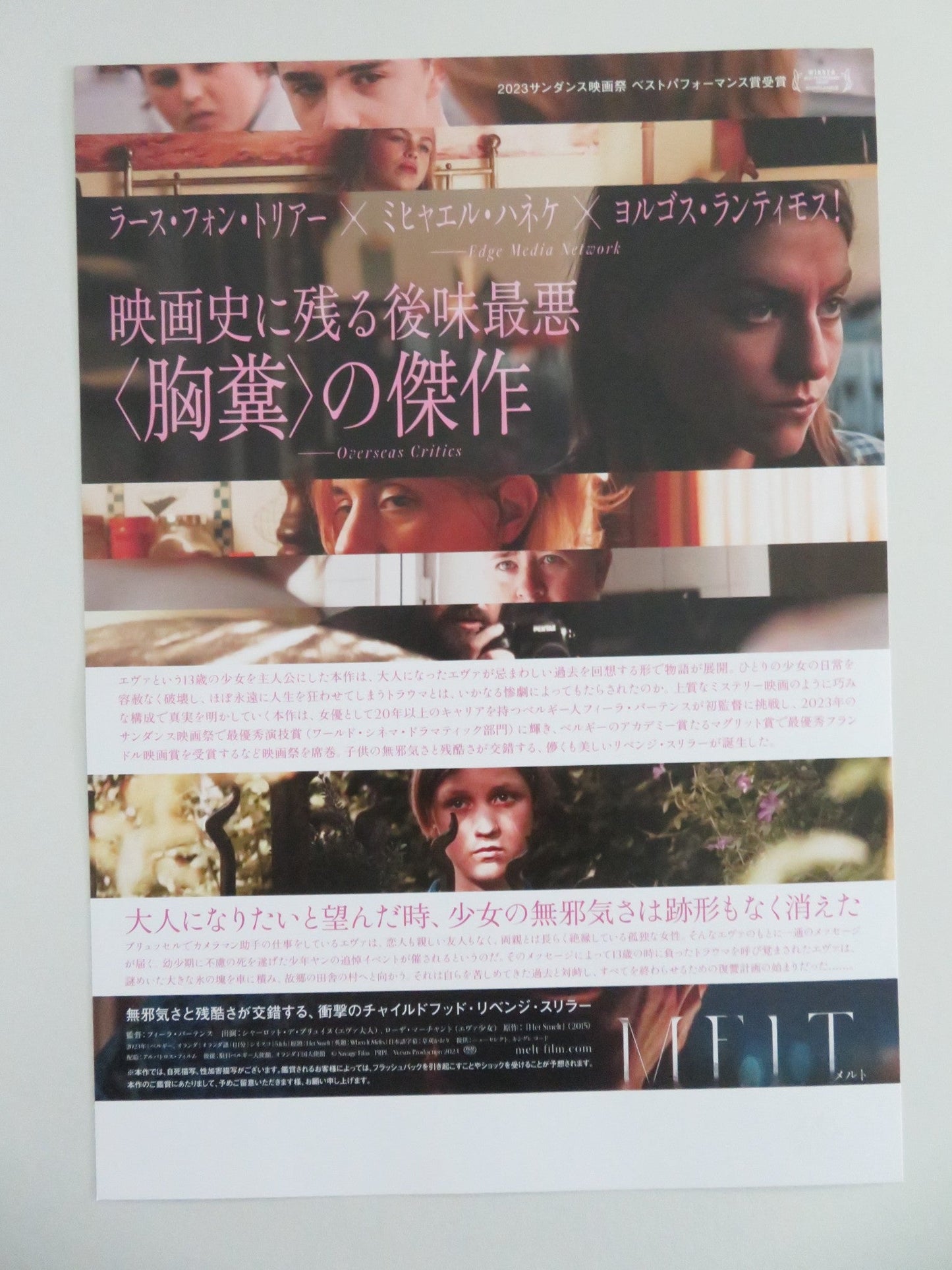 WHEN IT MELTS JAPANESE CHIRASHI (B5) POSTER SEBASTIEN DEWAELE DE BRUYN 2023 Movie posters