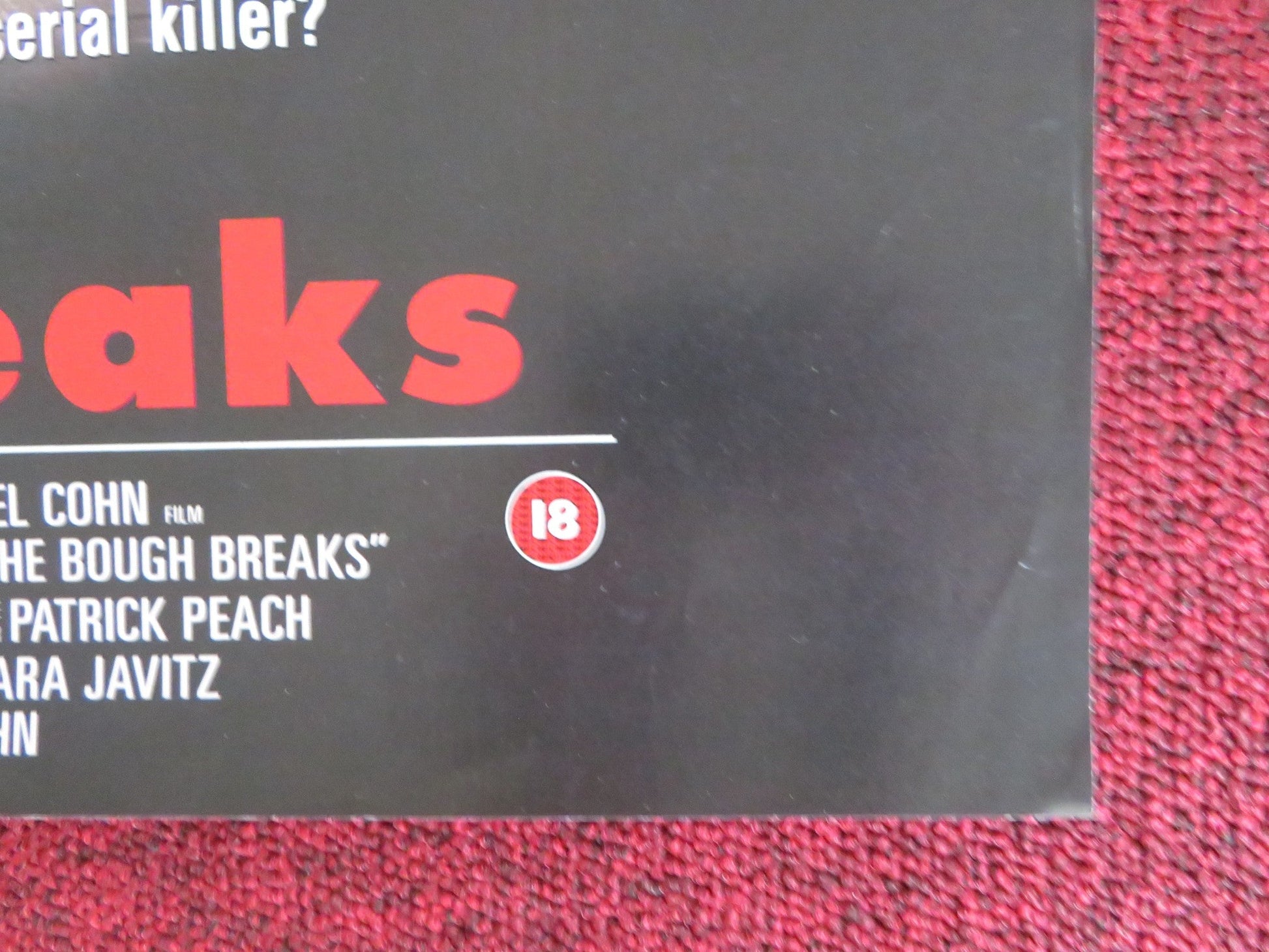 WHEN THE BOUGH BREAKS VHS VIDEO POSTER MARTIN SHEEN ALLY WALKER 1993 Rendezvous Cinema Movie posters