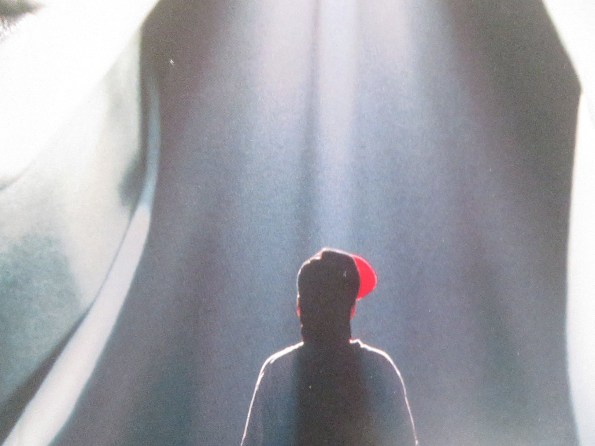 WHEN THE BOUGH BREAKS VHS VIDEO POSTER MARTIN SHEEN ALLY WALKER 1993 Rendezvous Cinema Movie posters