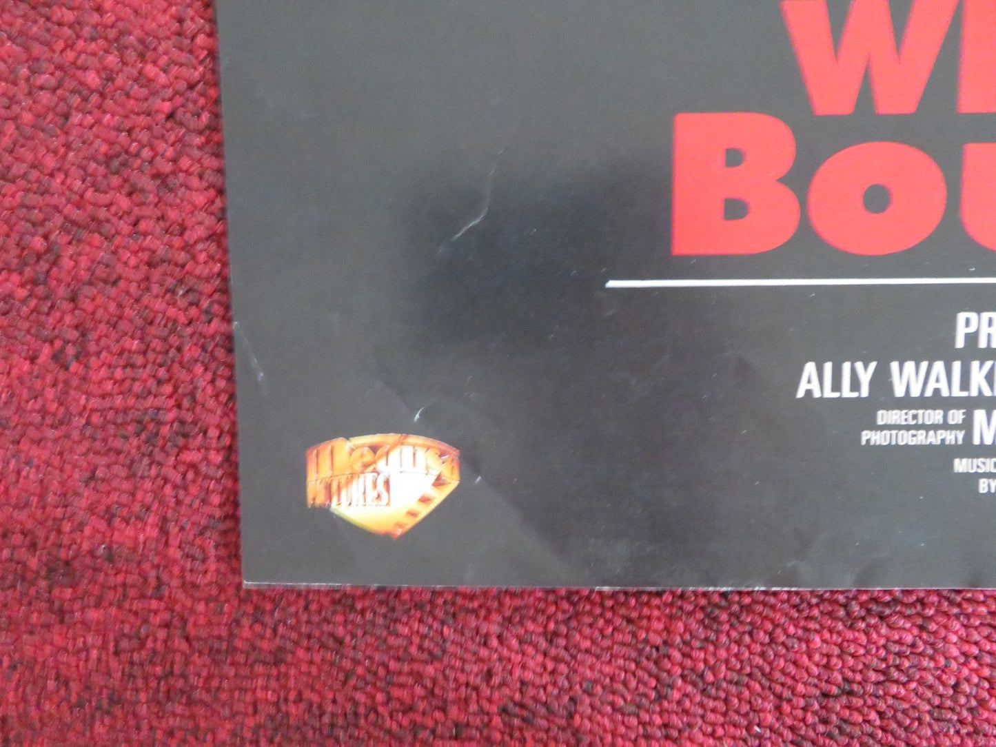 WHEN THE BOUGH BREAKS VHS VIDEO POSTER MARTIN SHEEN ALLY WALKER 1993 Rendezvous Cinema Movie posters