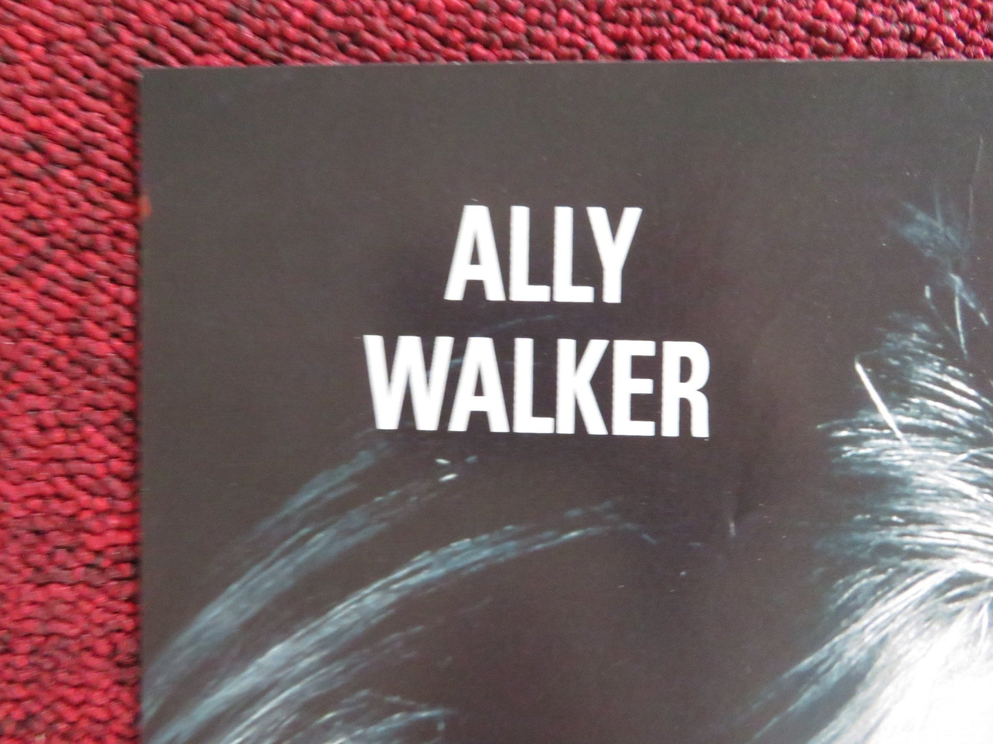 WHEN THE BOUGH BREAKS VHS VIDEO POSTER MARTIN SHEEN ALLY WALKER 1993 Rendezvous Cinema Movie posters