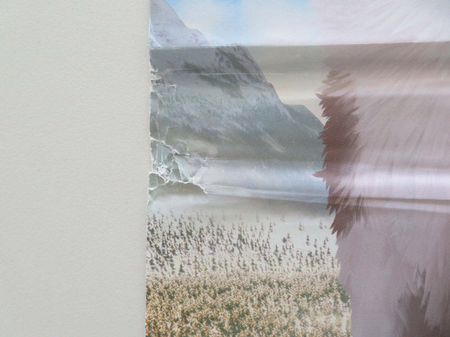 WHITE FANG ITALIAN LOCANDINA POSTER TONI SERVILLO PAUL GIAMATTI 2018 Movie posters