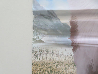 WHITE FANG ITALIAN LOCANDINA POSTER TONI SERVILLO PAUL GIAMATTI 2018 Movie posters