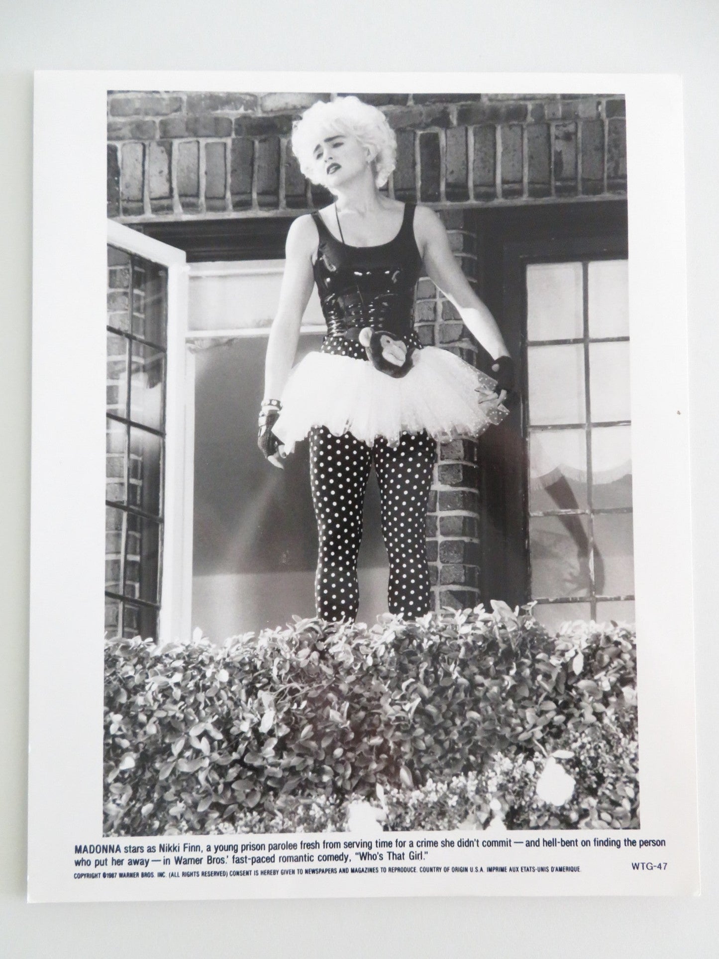 WHO'S THAT GIRL MOVIE STILL PHOTO LOT OF 7 MADONNA GRIFFIN DUNNE 1987 Movie posters