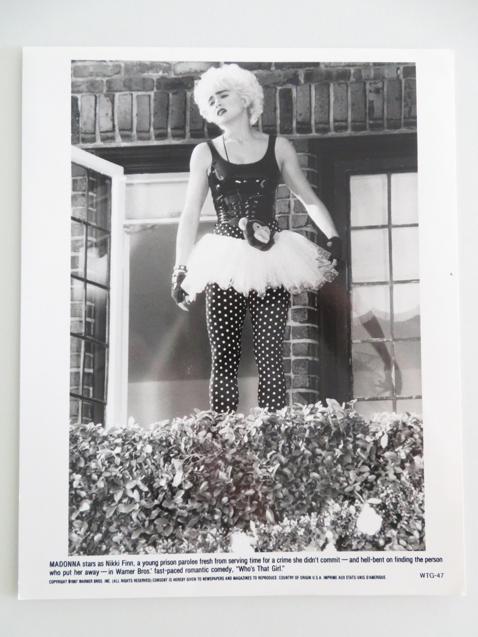 WHO'S THAT GIRL MOVIE STILL PHOTO LOT OF 7 MADONNA GRIFFIN DUNNE 1987 Movie posters