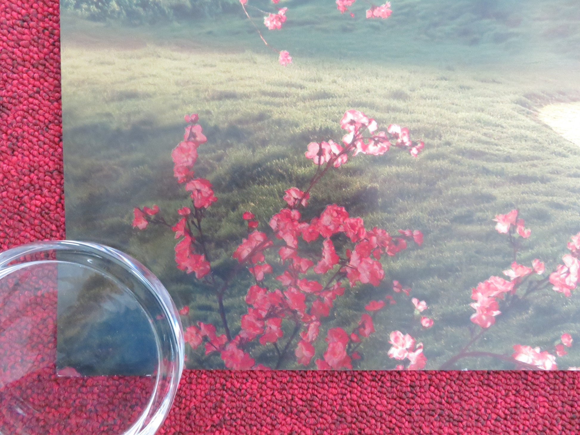 WICKED - D UK QUAD ROLLED POSTER DISNEY CYNTHIA ERIVO ARIANA GRANDE 2024 Movie posters