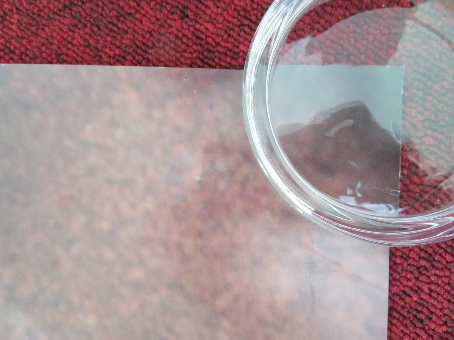 WILD ORCHID US ONE SHEET ROLLED POSTER MICKEY ROURKE JACQUELINE BISSET 1989 Movie posters