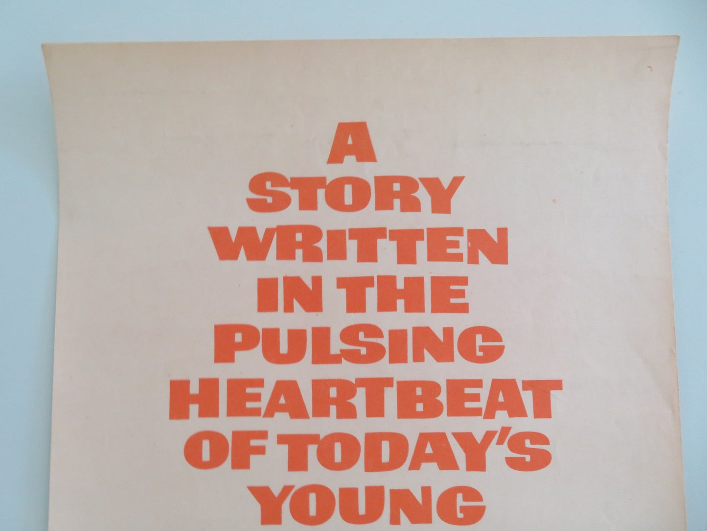 Wild Seed US Insert Poster Michael Parks Celia Kaye 1965 Movie posters